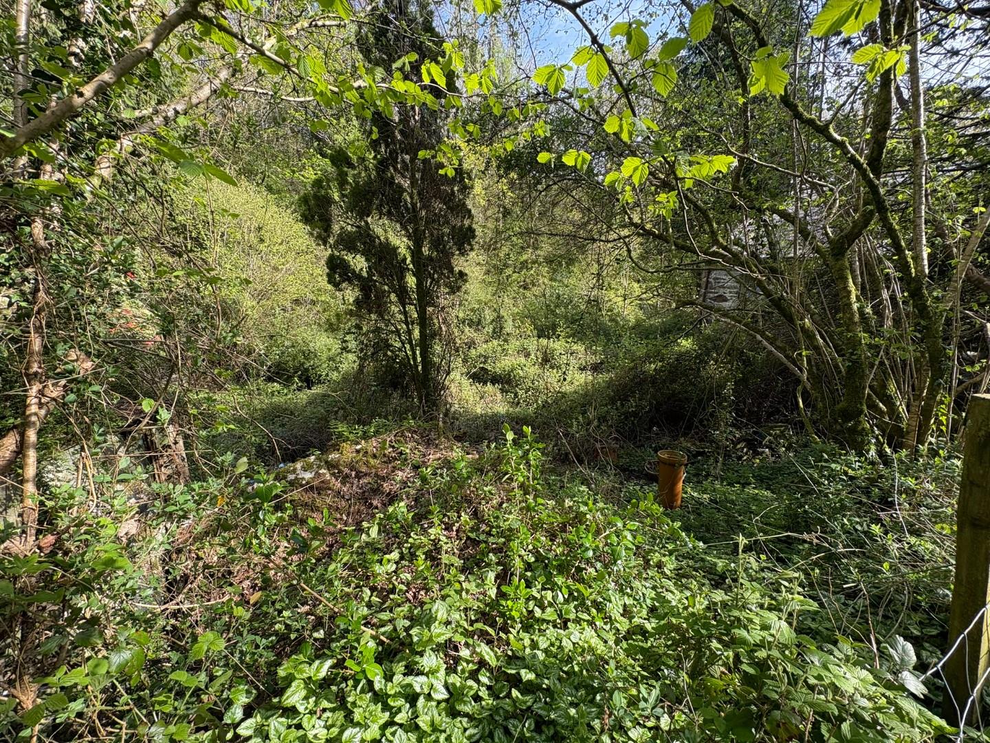 Land at Rear.JPEG